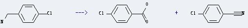 4-Chlorobenzylamine can be used to get 4-chloro-benzoic acid and 4-chloro-benzonitrile